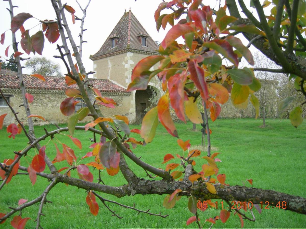Bed and Breakfast Domaine D'Entudelle Lussan  Exterior foto